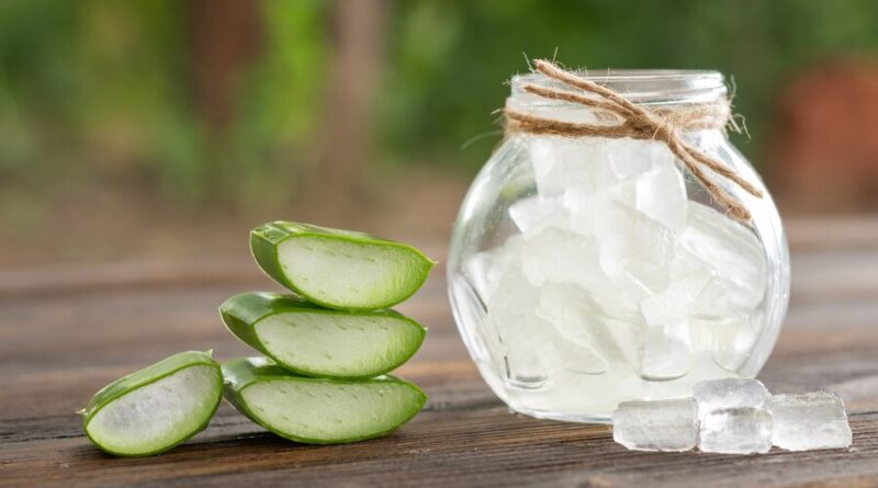 Aloe Vera Bulk Suppliers